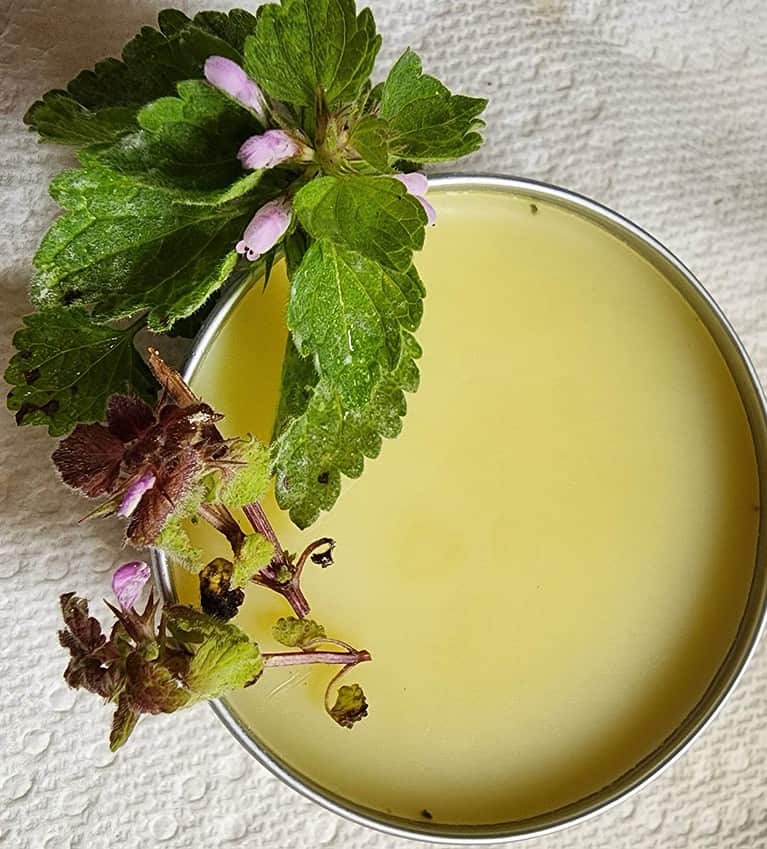 purple nettle salve