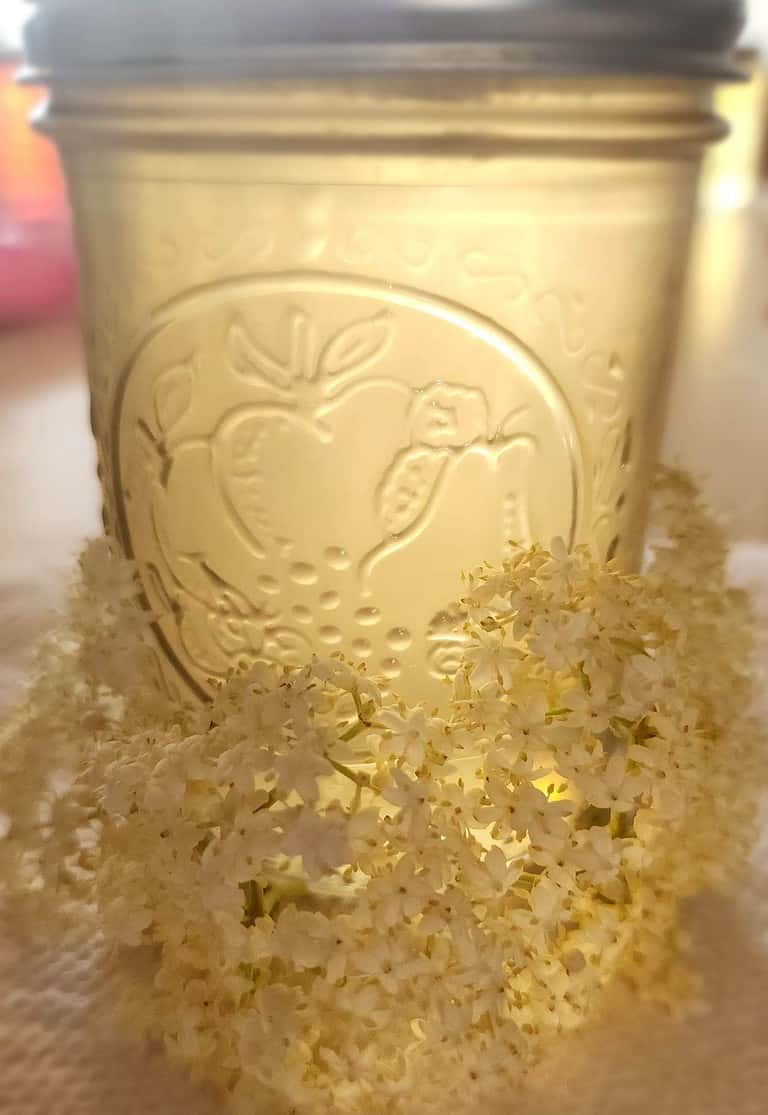 Elderflower jelly with flowers