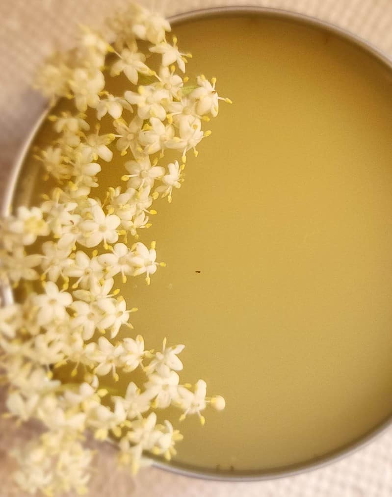 elderflower salve recipe