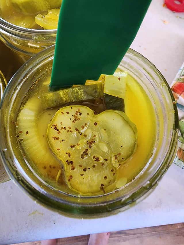 Easy Recipe for Canning Bread and Butter Pickles - Hawk Point HomeStead