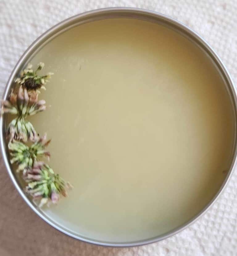 White clover salve with flowers