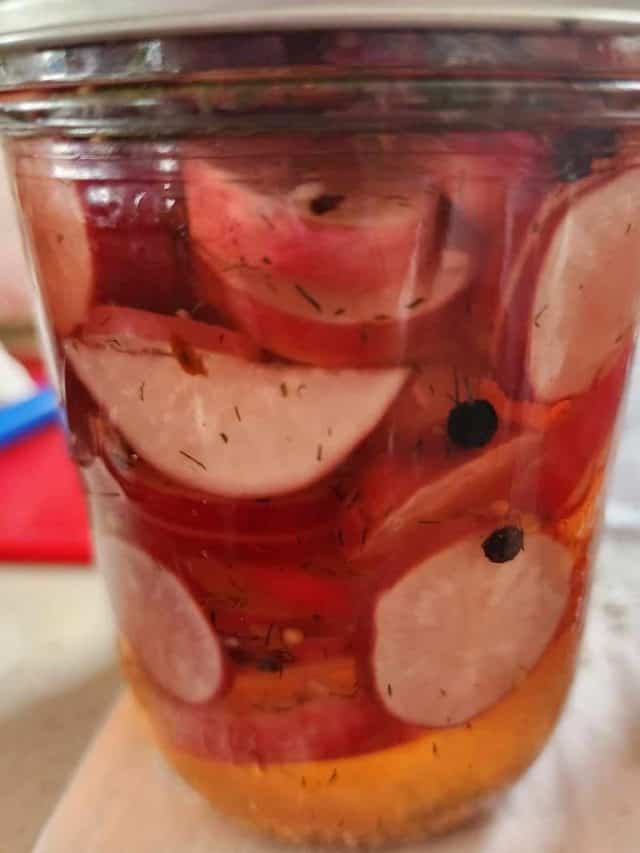 Canned radishes