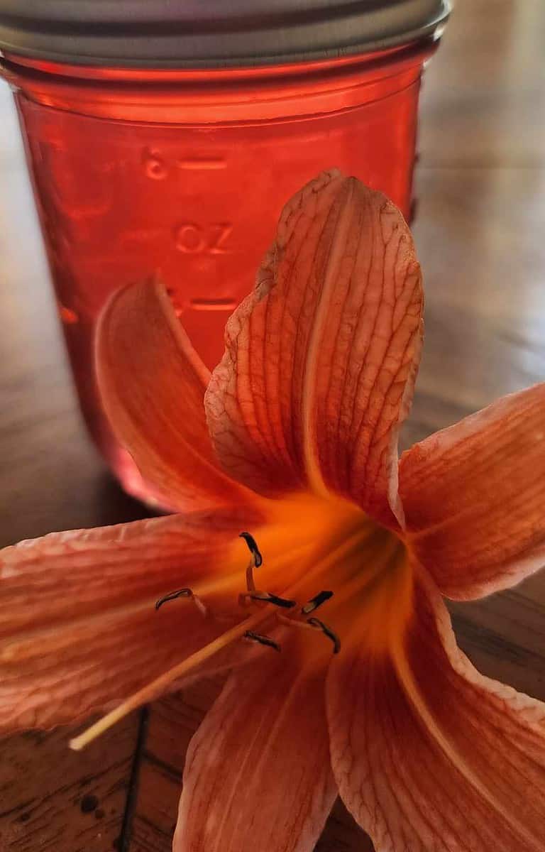 Orange daylily jelly