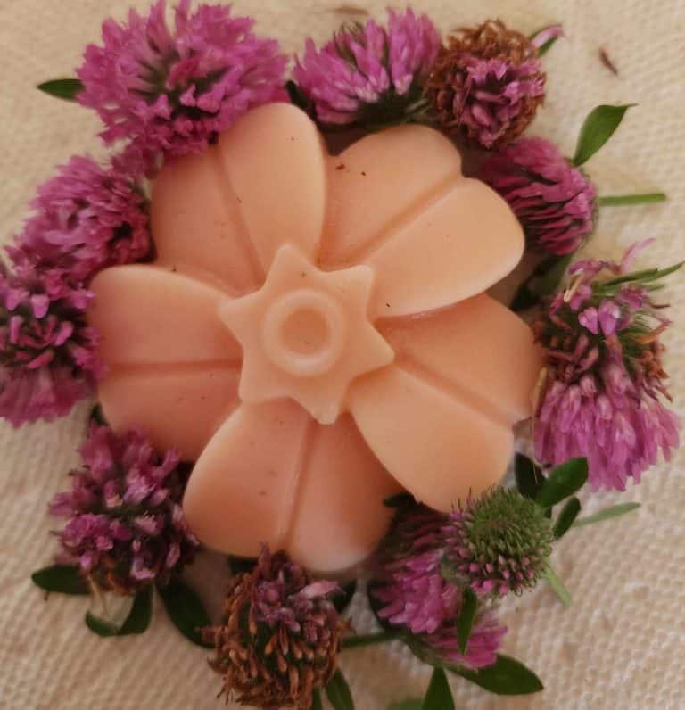 Red Clover Lotion Bar