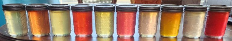 edible flower jellies in jars