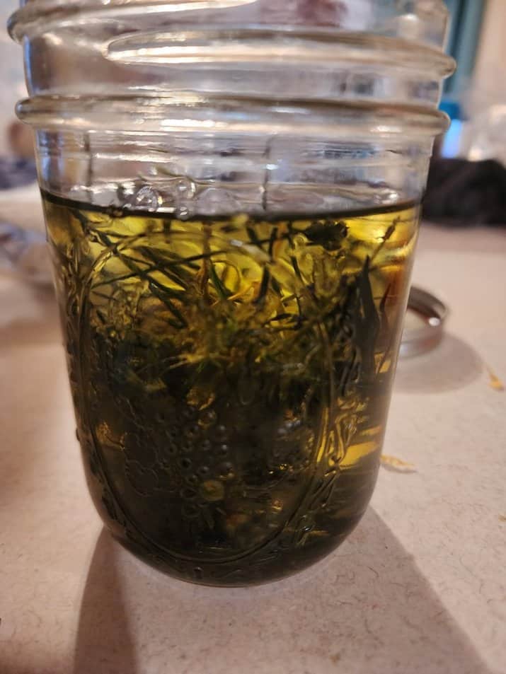 lavender oil infusion