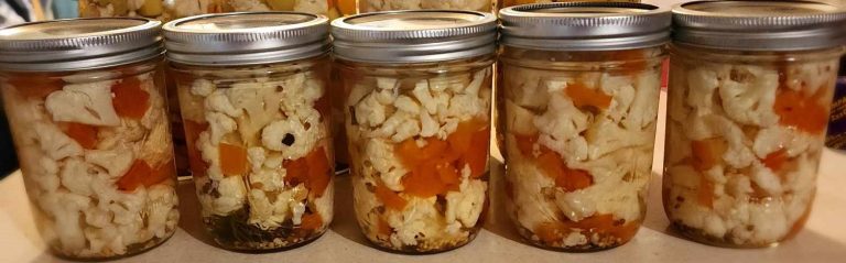 jars of canned pickled cauliflower