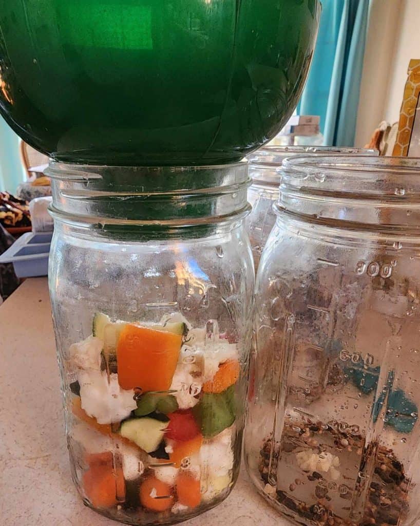 Filling canning jars with vegetables for making canned pickled giardiniera