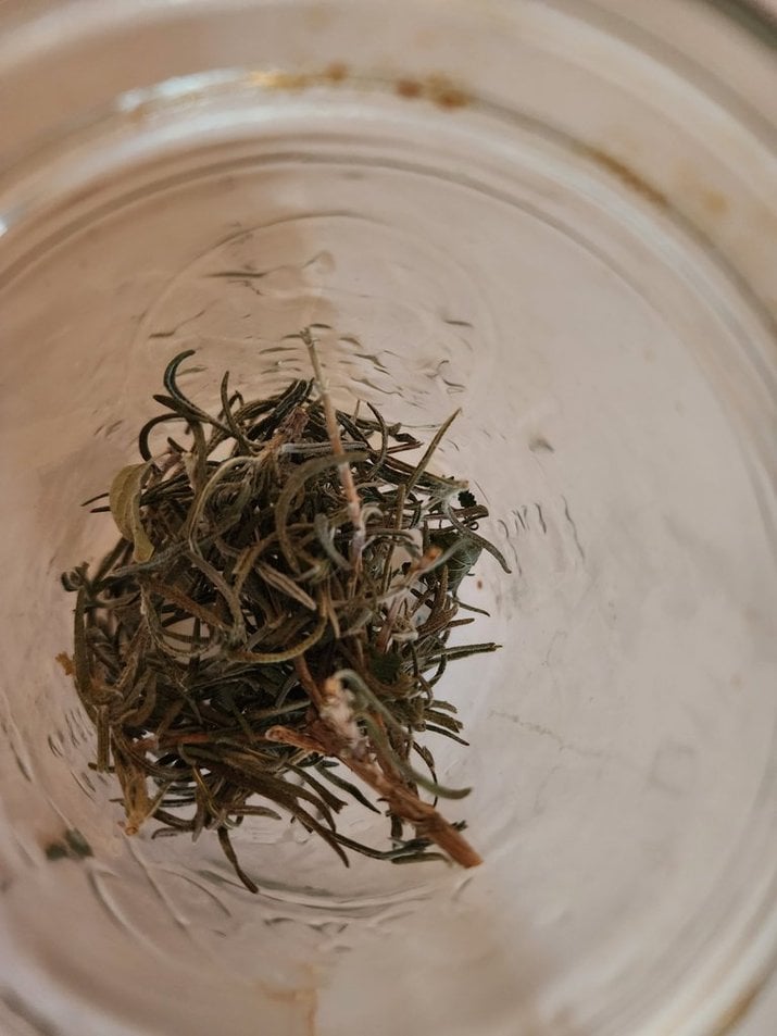 Dried rosemary added to jar for rosemary salve