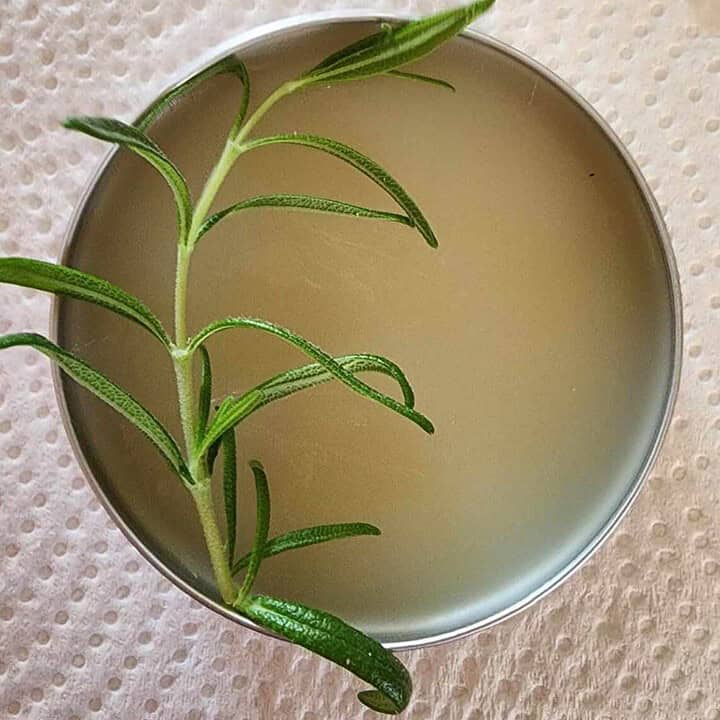 rosemary salve with rosemary leaf