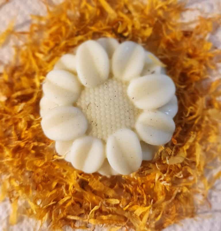 calendula lotion bar