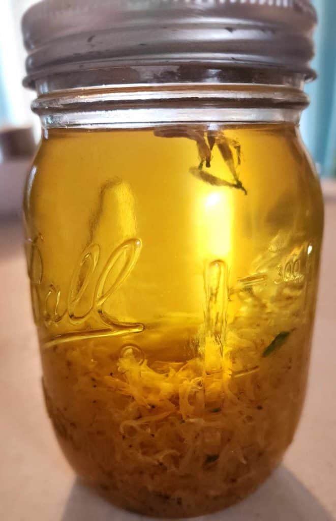 honeysuckle infused oil to make honeysuckle salve