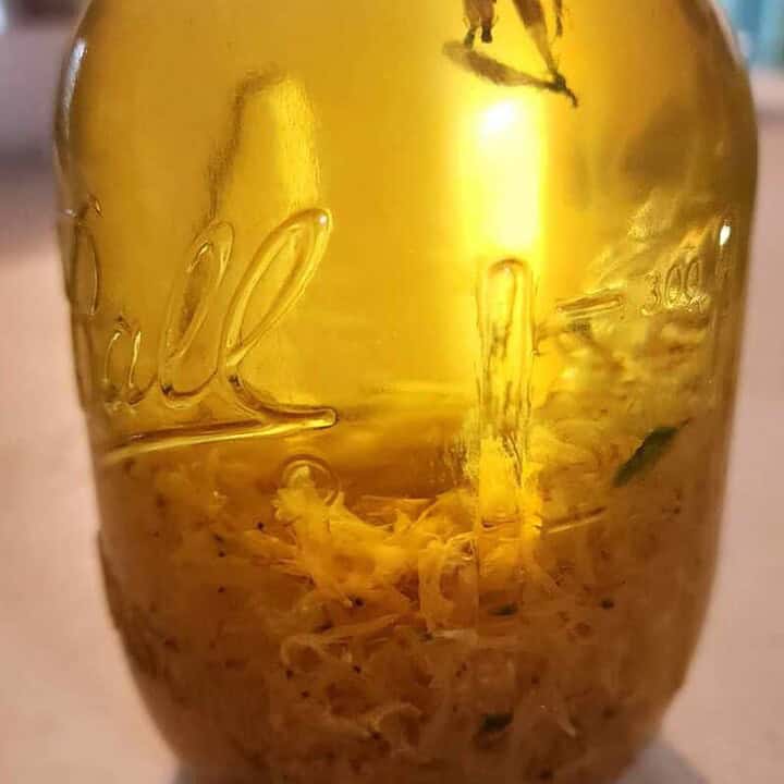 honeysuckle infused oil
