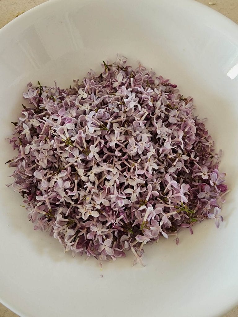 lilac flowers in a bowl