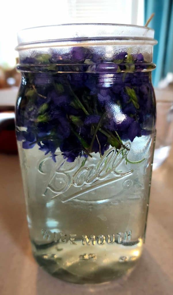 Added boiling water to violets to make violet jelly