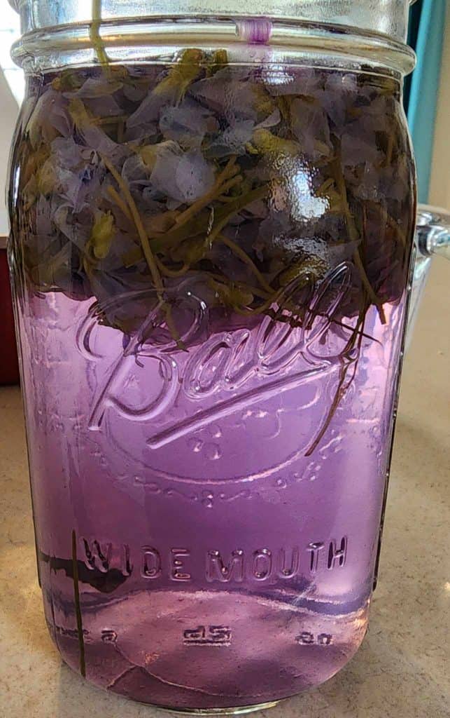 added lemon juice to the violets and water to make violet jelly.