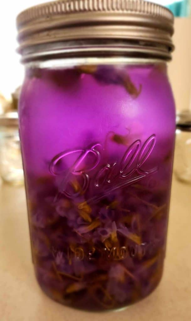 violet tea after infusing for 24 hours for violet jelly