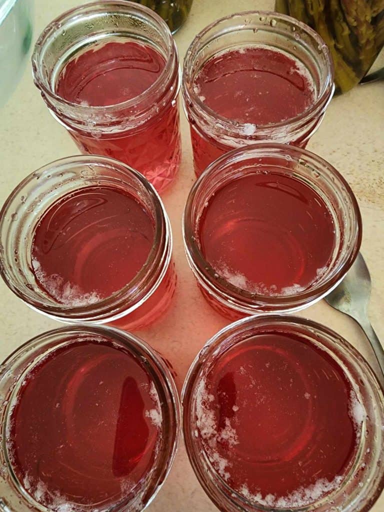 6 half pint jars of violet jelly