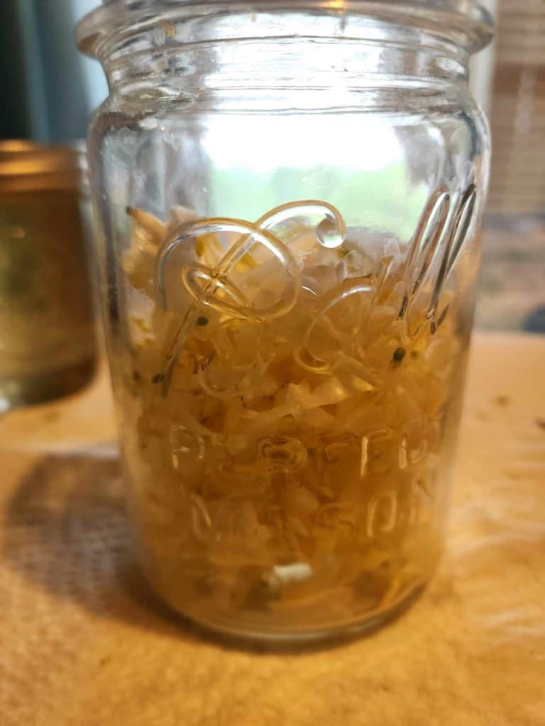 honeysuckle flowers added to a jar for honeysuckle tea
