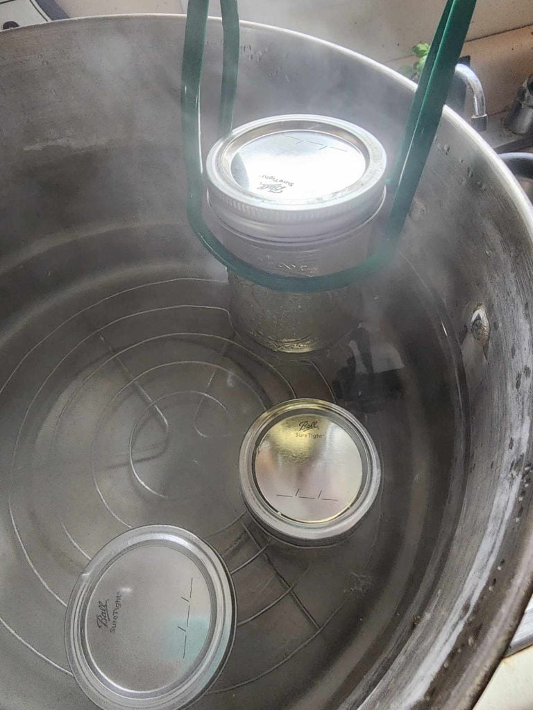 Adding jars of honeysuckle jelly to water bath canner with a jar lifter