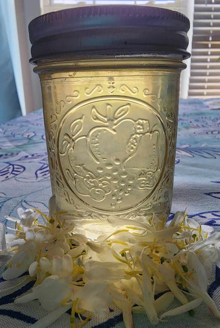 Jar of honeysuckle tea with flowers