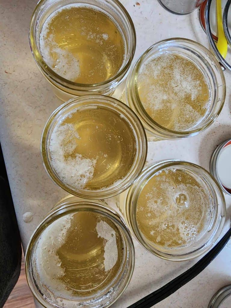 Jars of honeysuckle jelly from the top