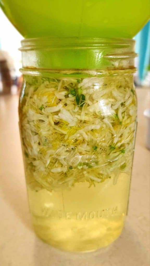 Adding boiling water to honeysuckles flowers to make honeysuckle jelly