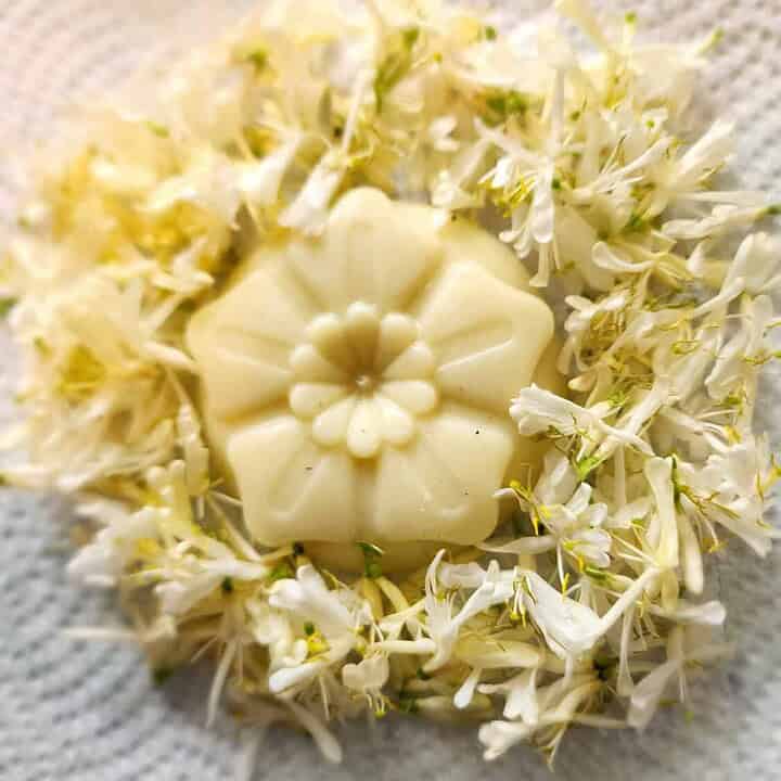 honeysuckle lotion bar