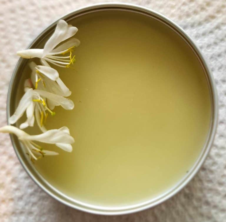Honeysuckle salve