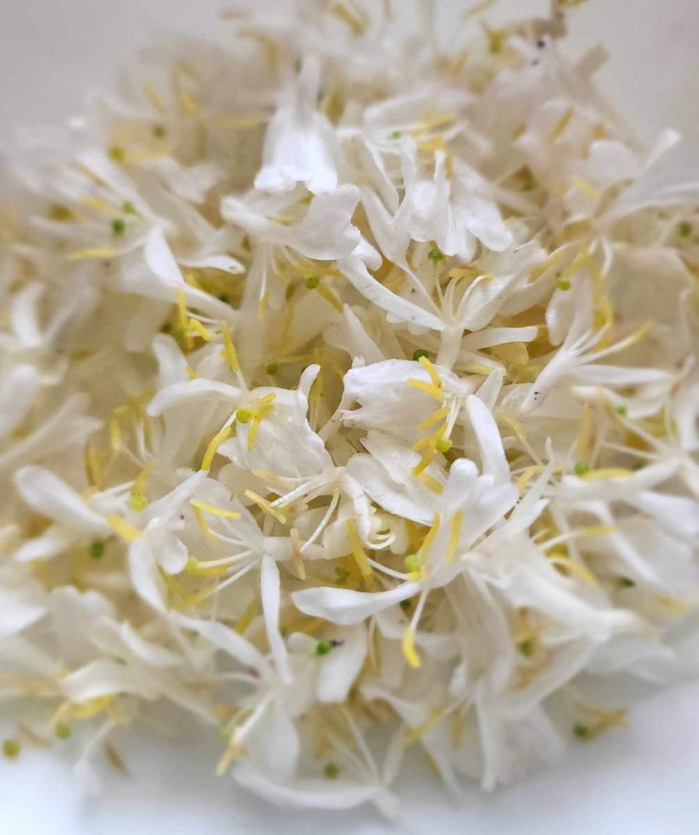 honeysuckle flowers in a bowl for honeysuckle tea