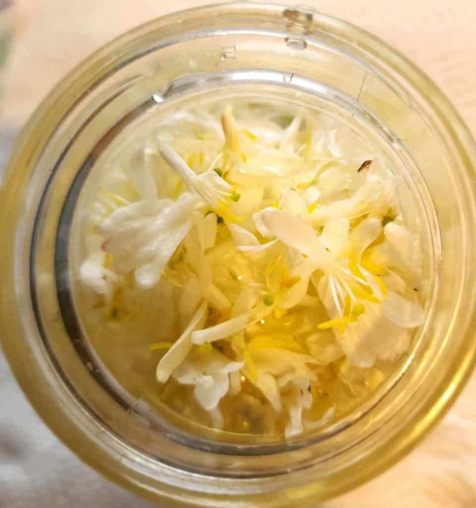honeysuckle tea after adding water from the top