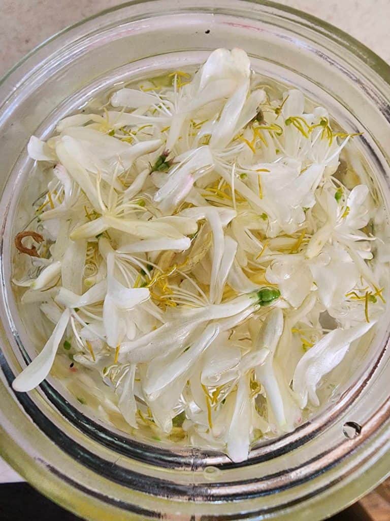 honeysuckle tincture