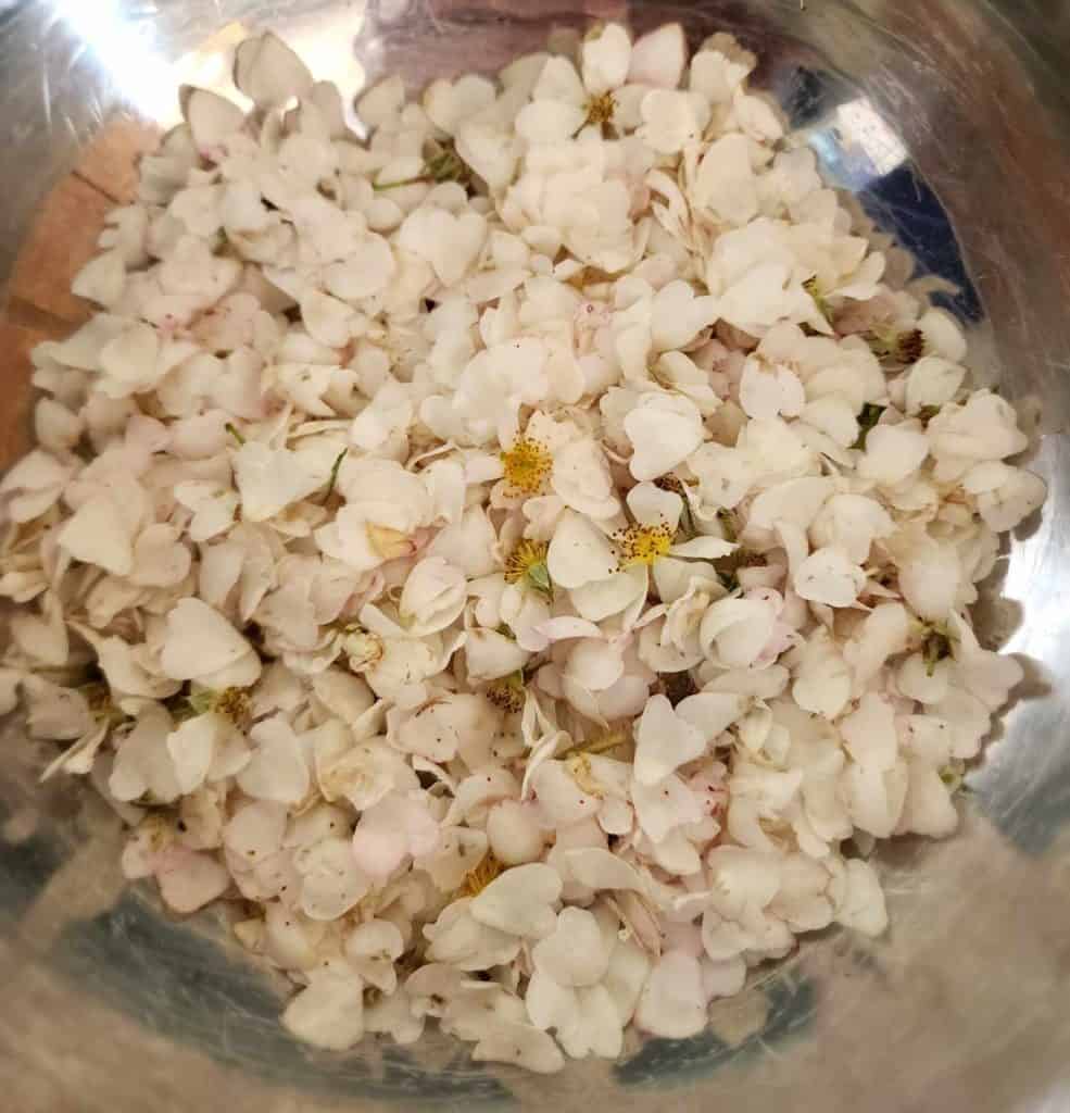 bowl of wild rose petals