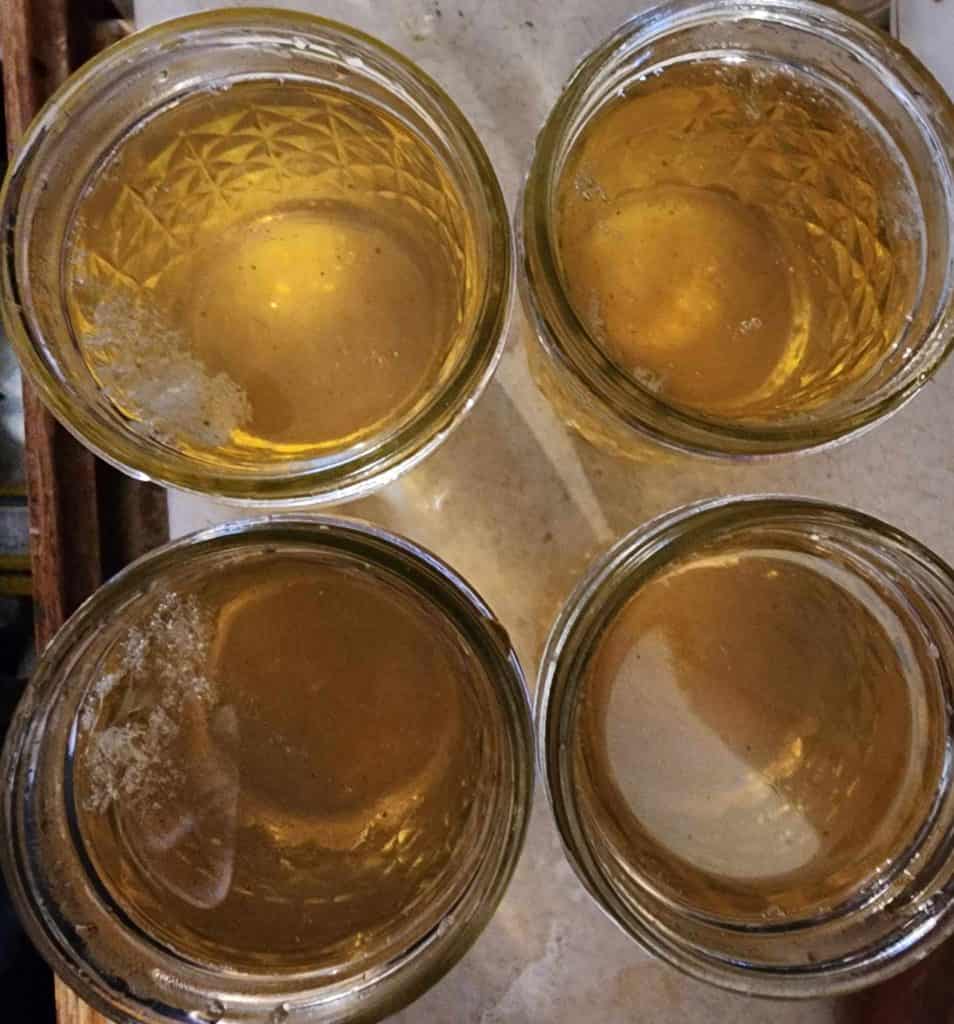 jars of wild rose jelly from the top before canning