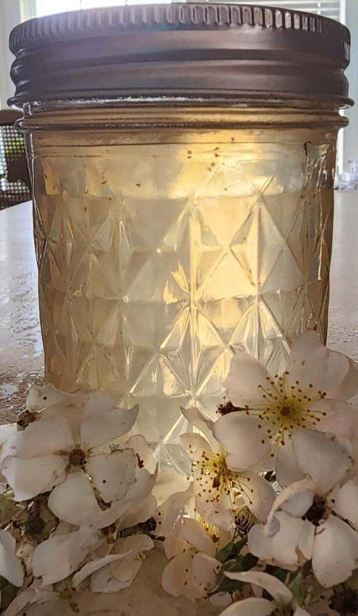 wild rose jelly with flowers