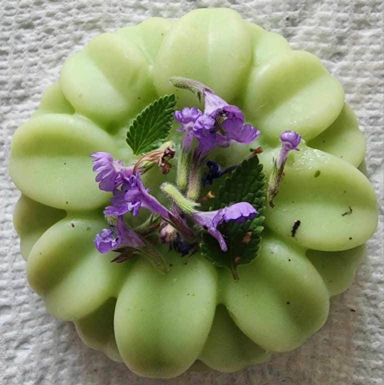 Catnip lotion bar