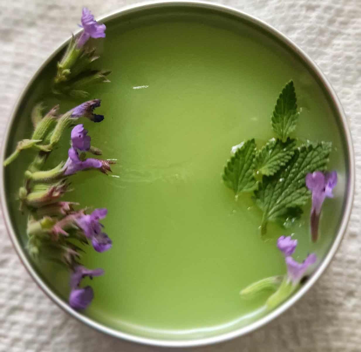 catnip salve with flowers