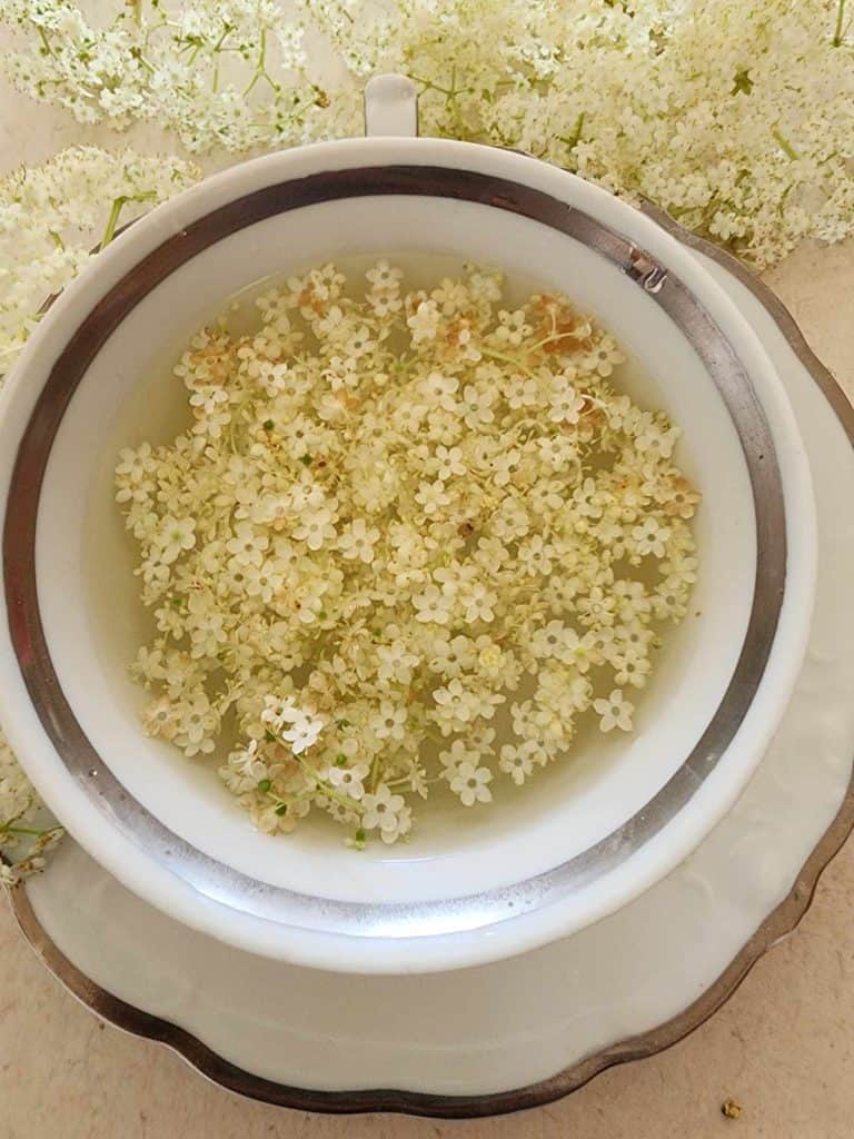 elderflower tea with flowers steeping
