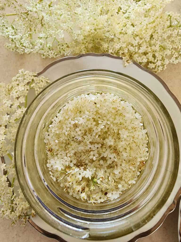 elderflower tincture