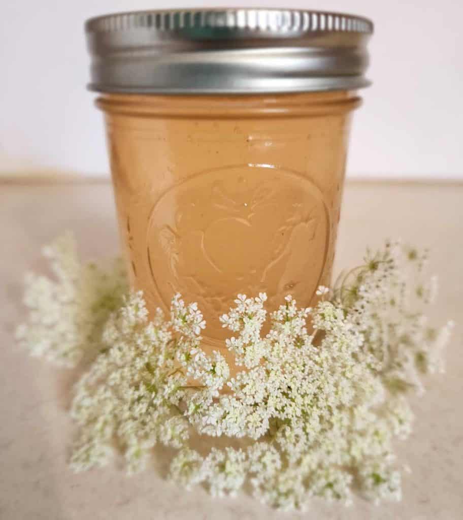 Queen Anne´s Lace jelly with the flower in front of the jar