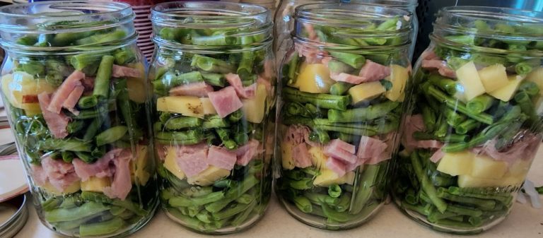4 quart jars of green beans ham and potatoes