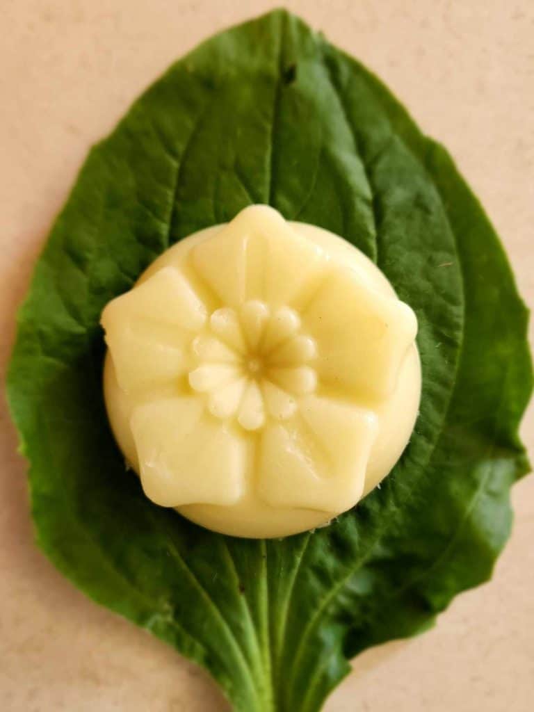 Plantain lotion bar