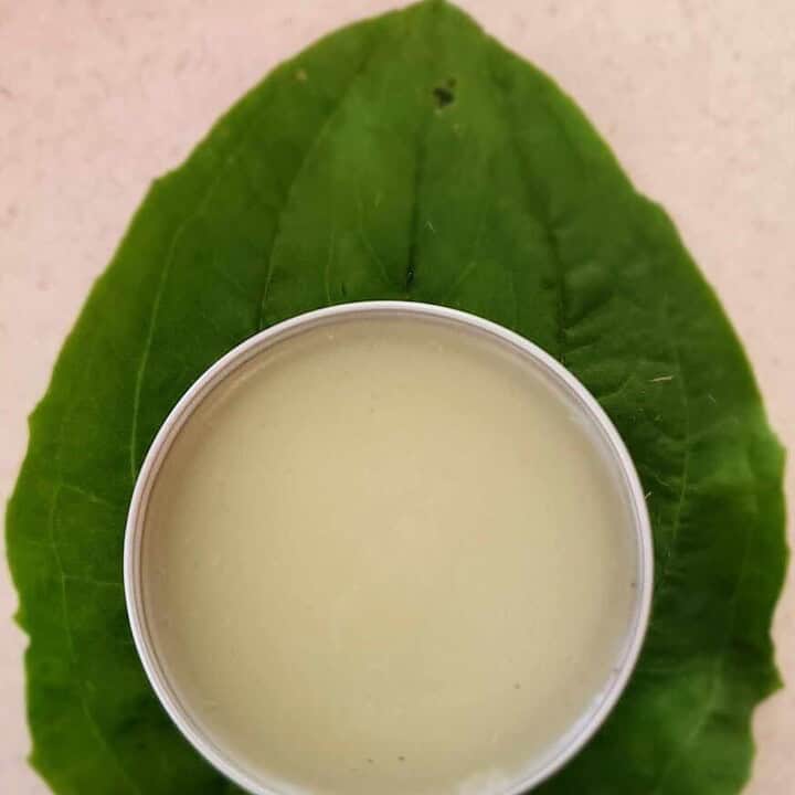 plantain salve on a plantain leaf