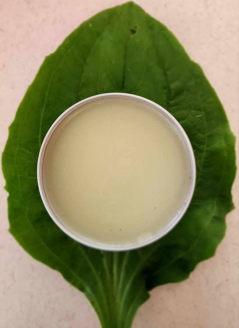 plantain salve on a plantain leaf