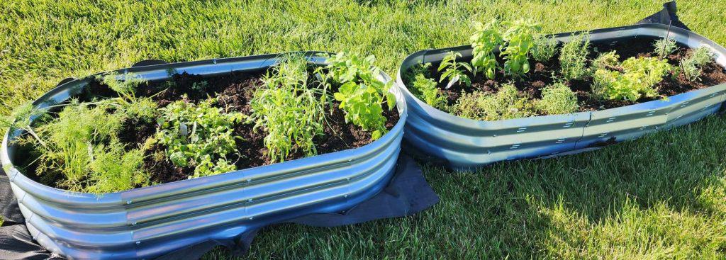 raised bed herb gardens