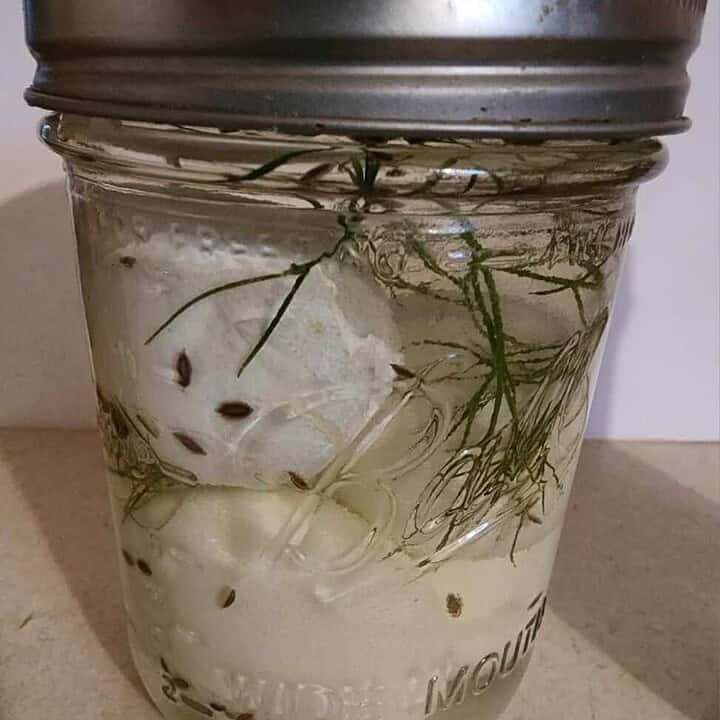 Dill pickled eggs