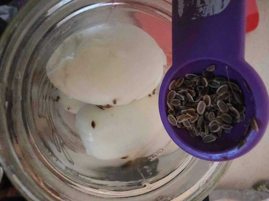 Dill seed being added to jar for dill pickled eggs