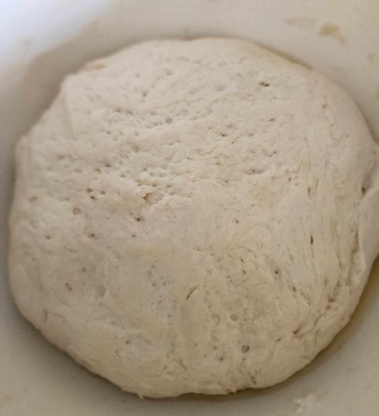 homemade pizza dough after rising