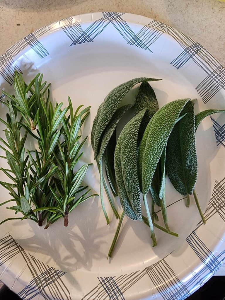 sage and rosemary leaves for sage and rosemary salve