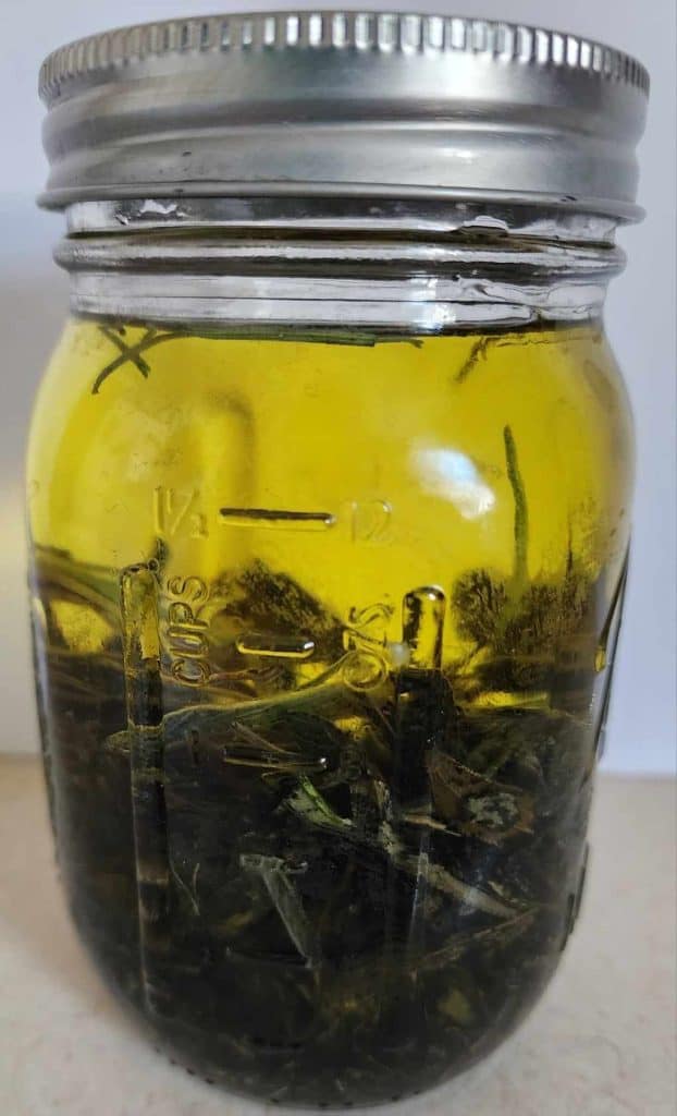 sage and rosemary infused oil for sage and rosemary lotion bar recipe
